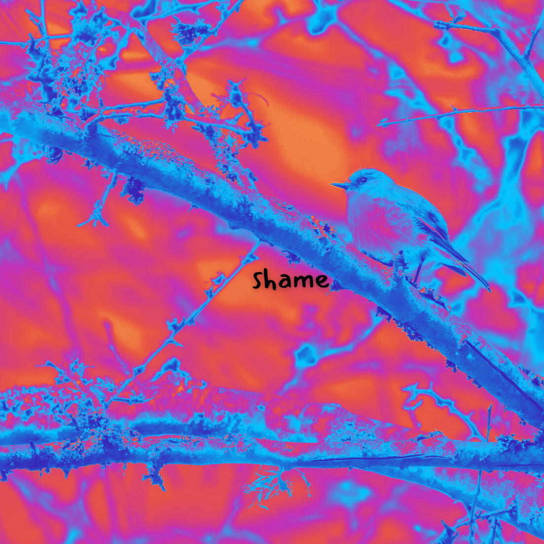 A small songbird perches on a leafless tree branch. The image is rendered in false colour in reds and blues.